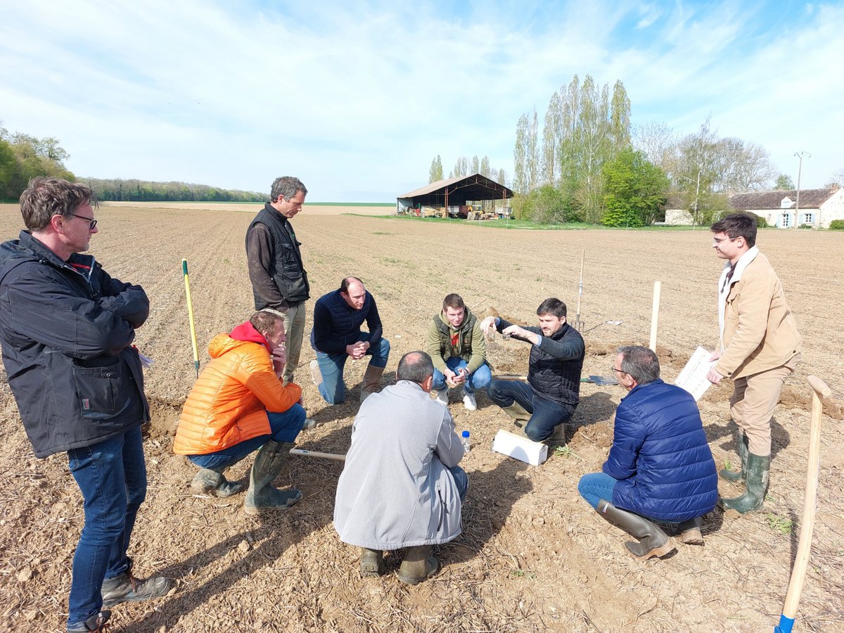 110Bourgogne's tweet photo. Une journée en Bassée Gâtinais avec le groupe d'agriculteurs Opti'Fertisol @SeineYonne à observer les sols pour mieux les prendre en compte dans les pratiques agricoles et optimiser leur fertilité. Au programme, test bêche &amp; profil, couverts d'interculture &amp; agronomie ! https://t.co/24PbBVToMJ
