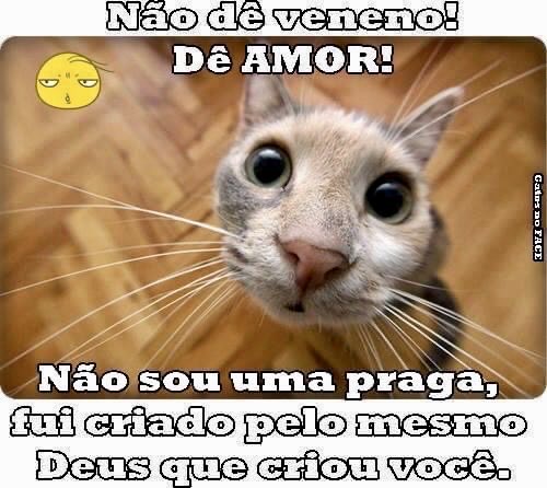 Isaura82208423's tweet photo. https://t.co/s1eAiKl1Wo