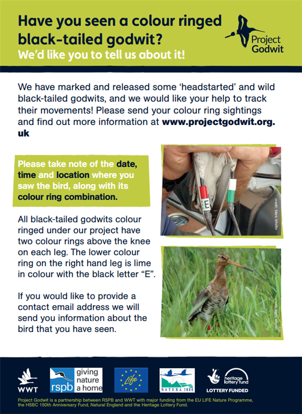 alexnicolharper's tweet photo. "All observers receive a full history for birds they report" - look out for @ProjectGodwit colour-rings in the wild to receive observation chronicles in return! 🌍 from 'The science of saving a species [blackwit] from extinction in the UK' by @drredshank https://t.co/rVh4TEK9H2 https://t.co/FNIxtI5lx8
