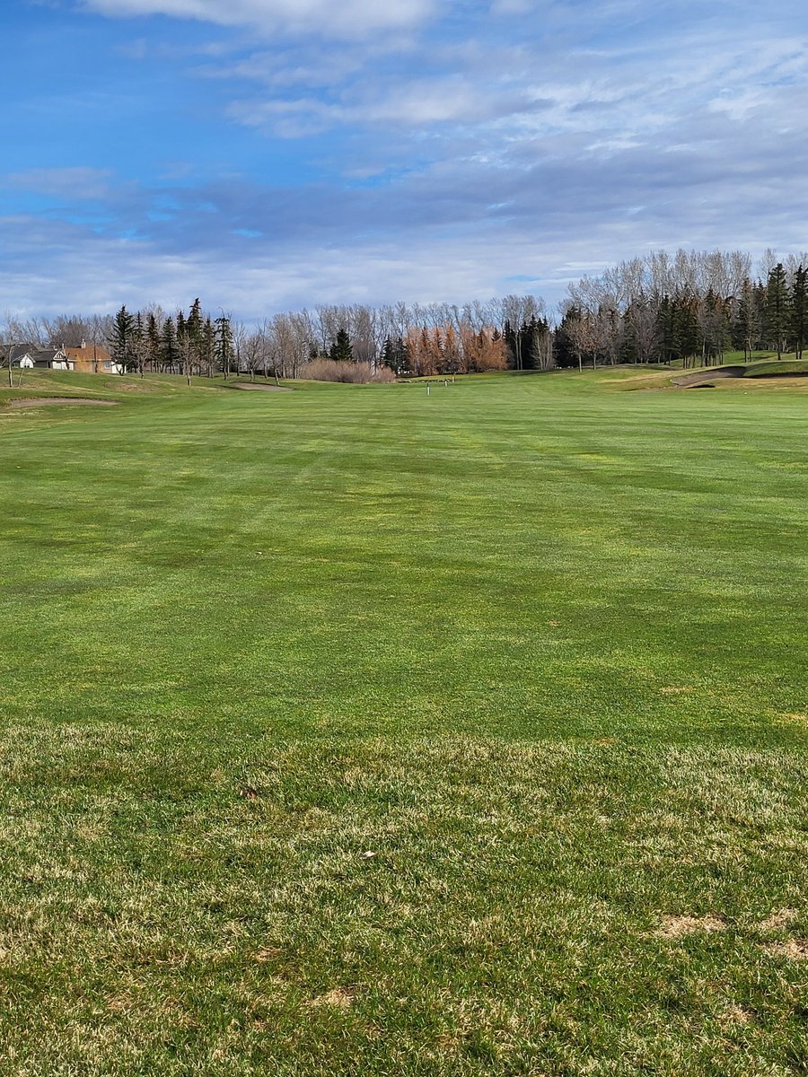 Dale Ekman tweet media