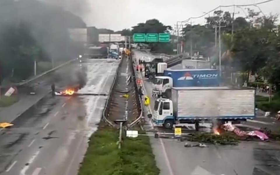 Cristian Martelo 🌱 tweet media