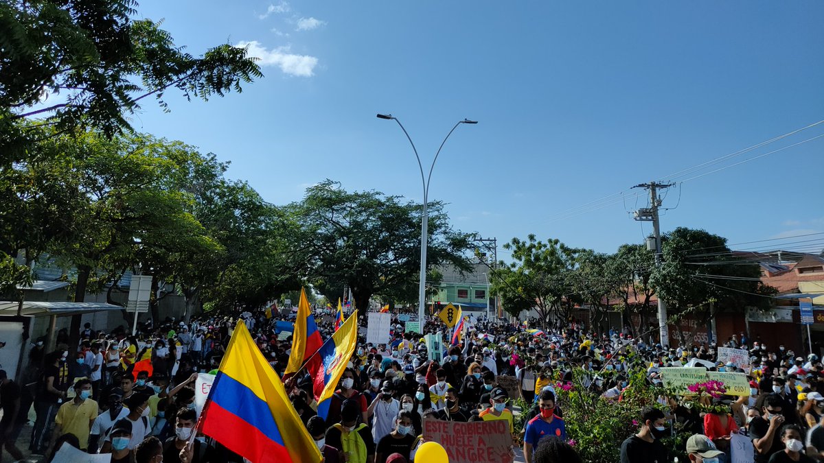 Cristian Martelo 🌱 tweet media