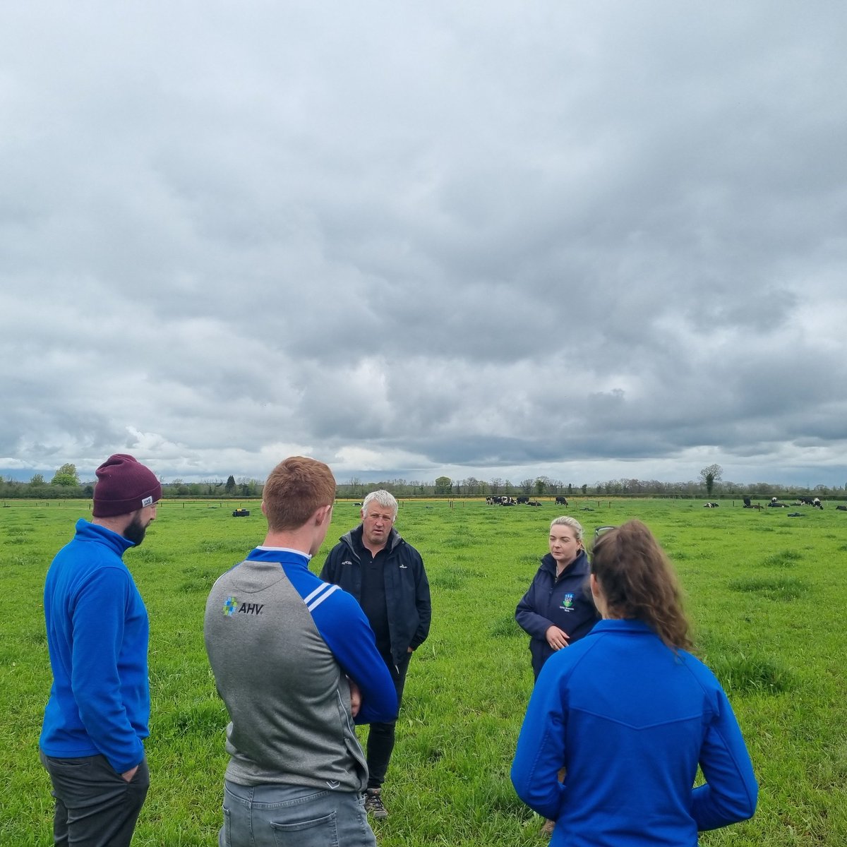 PallasTb's tweet photo. We had a great day of conversation with Glenn Judson of @Agricom_NZ in @ucdlyonsfarm @ucdagfood today. Discussing grazing systems, plantain, MSS and much more. https://t.co/cxnKpj6AM5