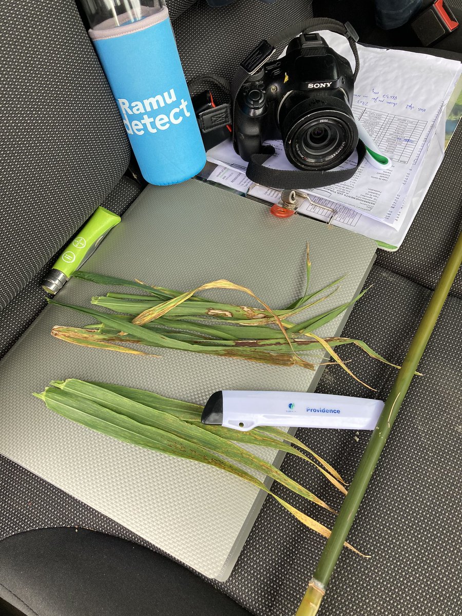 Emmanuel BONNIN tweet media