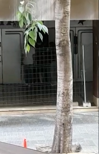 Sala_Tango_NO's tweet photo. 15-20 persones acaben d'entrar a la Sala Tango, segurament per rebre formació, instruccions o ser seleccionades. Fa uns dies ja van donar instruccions als captadors de peu de carrer nocturns.
#NiTangoNiBachata #SalaTangoNO
@Bcn_Eixample @bcn_ajuntament @beteve @GUBBarcelona https://t.co/ljfZzxfnq7