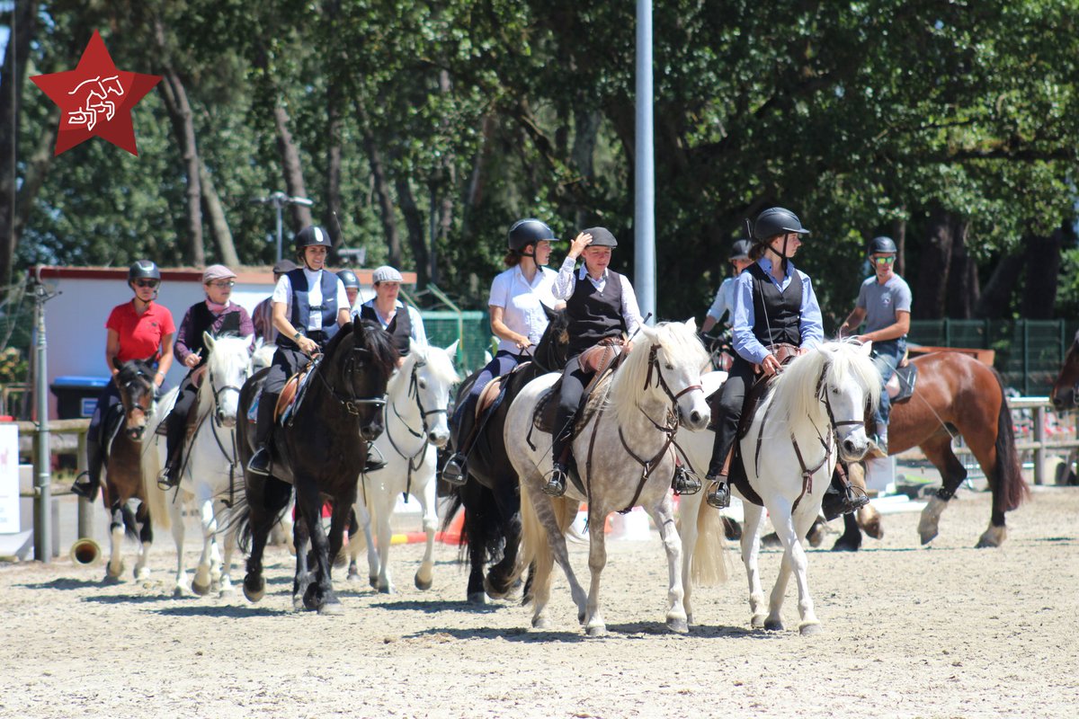 Agri_Aquitaine's tweet photo. Pendant 9 jours, venez découvrir les animations d'@Equitaine :
🏹Tir à l'arc à cheval
🏐Horse ball
🐎Challenge inter-lycées
🌙Concours d'attelage en nocturne
😊Équitation Éthique
👉https://t.co/RTMsqiflYJ
#SANA2023 #aquitanima #aimetonagri #ParlonsAgricultureNA #equitaine https://t.co/Ea9MoYhBC3