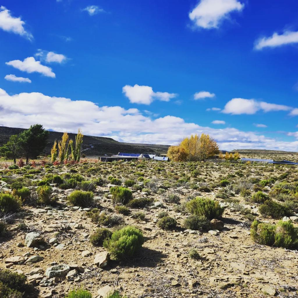 5starstories's tweet photo. A karoo paradise at Rogge Cloof near Sutherland, part of @CapeCR

The perfect Freedom Day escape where wide open spaces, big skies and pure relaxation is the order of the day!

#roggecloof #capecountryroutes #sutherland #freedomday #publicholiday #travel #southafrica #karoo https://t.co/cJe1KMad0V