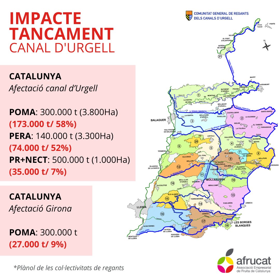 Afrucat's tweet photo. El tancament del canal d’Urgell farà perdre a la fructicultura catalana el 58% de la 🍎 i el 52% de la 🍐 

La davallada en la poma podria arribar al 68% del total de Catalunya si se li afegeixen les pèrdues previstes en la collita de la poma de Girona.

#afrucat #lanostrafruita https://t.co/pQyIfbz0zu