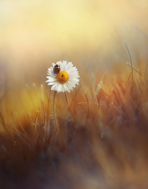 리주연 (@leetmojuyeon) on Twitter photo 