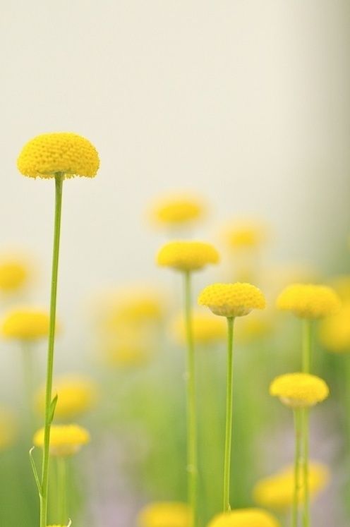 리주연 (@leetmojuyeon) on Twitter photo 