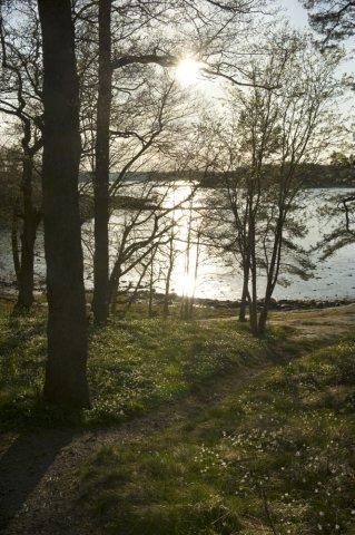 ahstiftsgard's tweet photo. På söndag är temat "Vägen till livet."
Välkommen att fira gudstjänst i Åh kyrka kl 11:00.
Ur sv psalm 794:
"Vi är inte här förgäves. Här tar inte vägen slut. Gud bär den som ständigt faller, den vars kraft har sinat ut." https://t.co/l69XjggURr