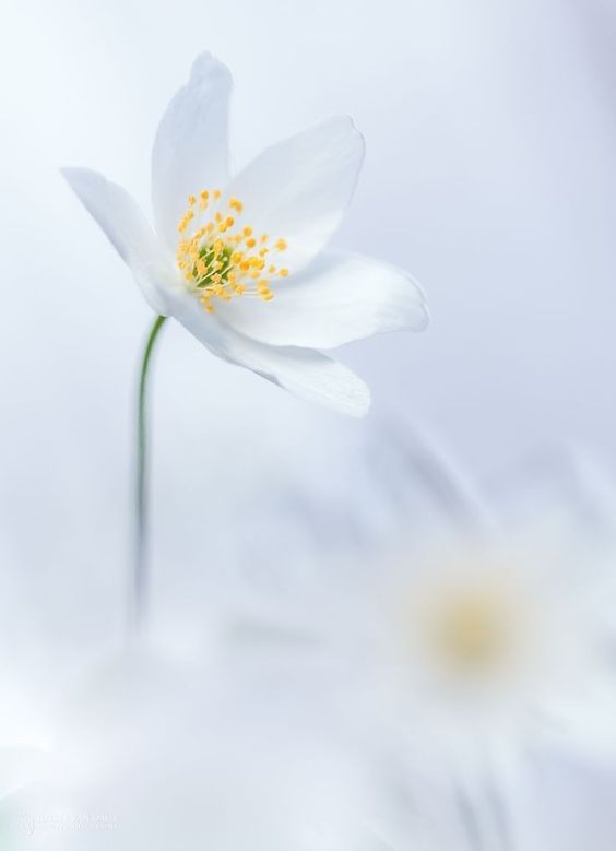 하고자 (@hagojja) on Twitter photo 