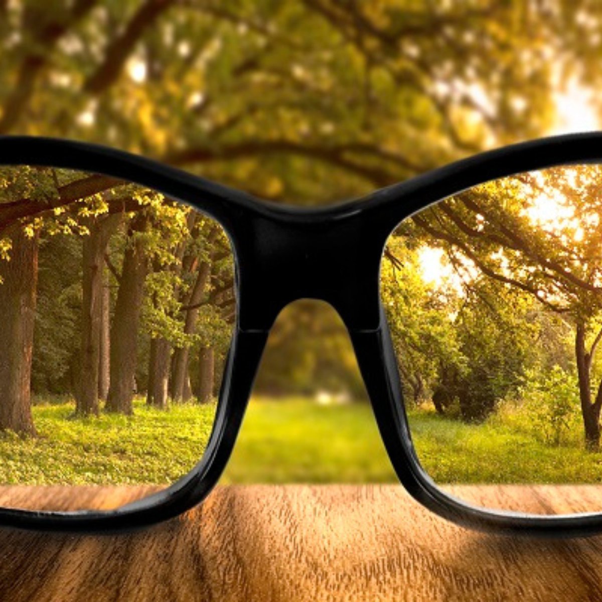 Tijdens de 4-daagse training Toezichthouder ben je de “ogen en oren” van de directievoerder. Zo ben je deelnemer/notulist aan de bouw- en Nutsvergaderingen, je beoordeelt de verwerkte hoeveelheden en meer- en minderwerk. 💬

Schrijf je in: bit.ly/3XoXXaC