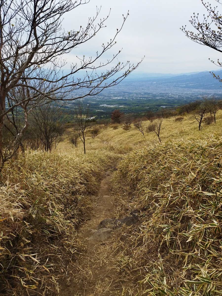umeturtle's tweet image. 赤城山に登山してきた
陸部だけど、帰って来る時には足がパンパンだったｗ
町の方から登って、４時間で往復!
高校の合宿だったから、友達と沢山話して仲良くなった
#登山 #赤城山