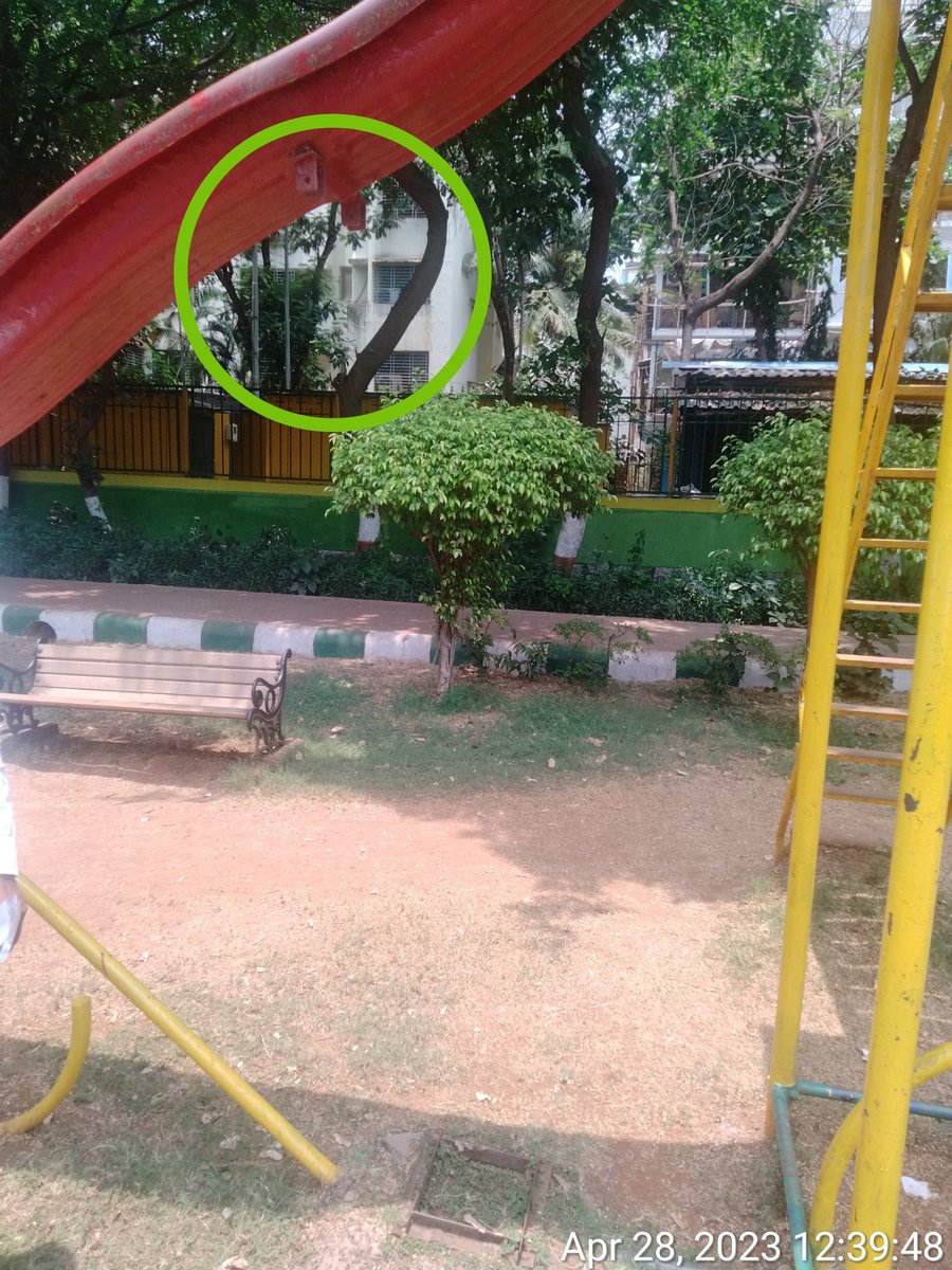 Avinash Vasudevan tweet media