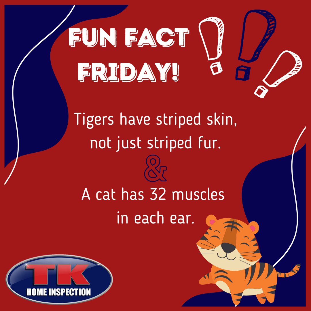 InspectorTK's tweet photo. #FunFactFriday https://t.co/L05vNefoHi