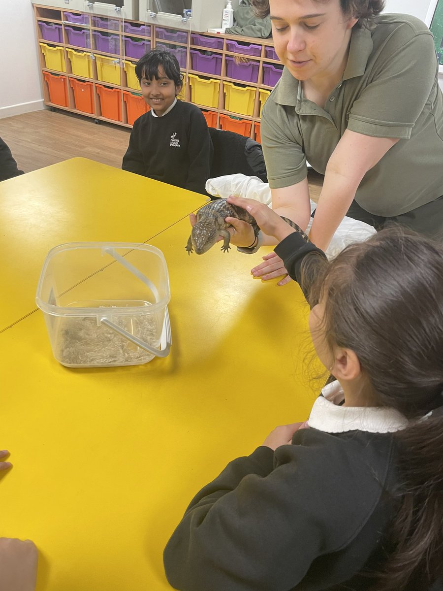 MissMackenzie20's tweet photo. At @YorkshireWP we are doing our animal habitats workshop!! Look at all the amazing animals we got to touch! @DixonsMP https://t.co/CtE9m8eOyw