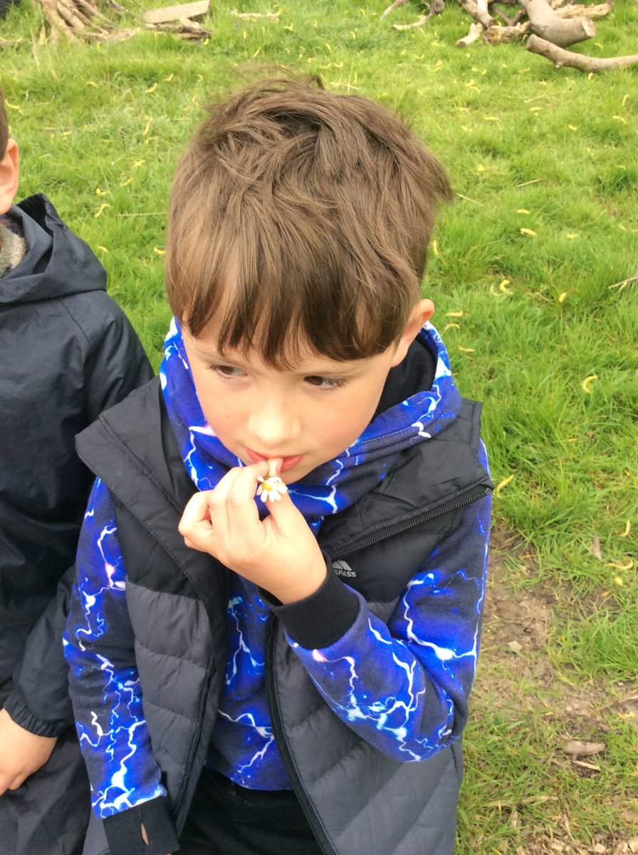 TPS1914's tweet photo. From foraging to spotting the signs of spring, science investigations to identifying species of trees, there's been all sorts of learning in Forest School this week!#forestschool #outdoorlearning https://t.co/V6zfefrZdd