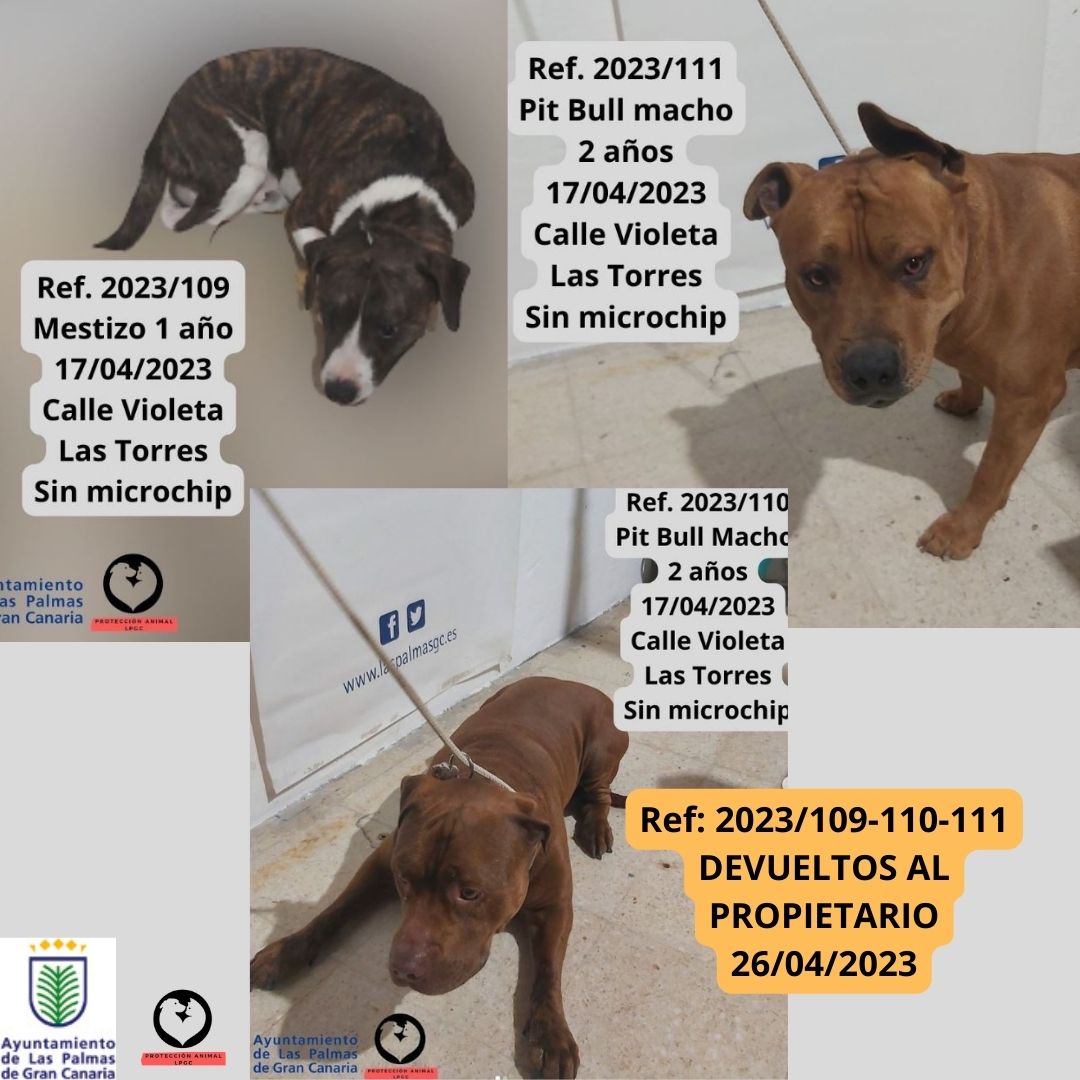 LPGCSaludPublic's tweet photo. #devueltos al propietario
#gracias #pet #mascotas #feliz #hogar https://t.co/gkZOX0asgL