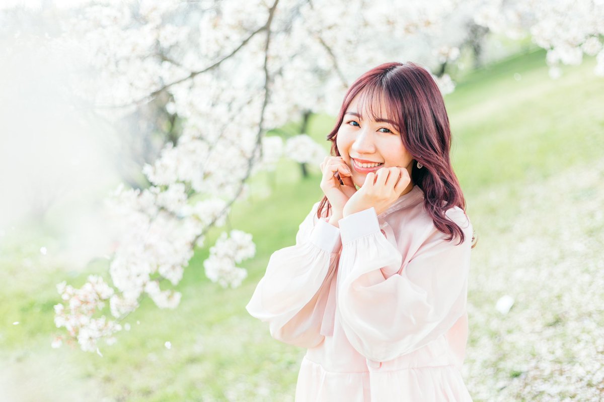 usamiphotograph's tweet photo. 東京はすっかり桜はなくなって
今はネモフィラや藤の花が大人気！

でも北海道は今、桜が見頃らしい🌸
いつか桜前線を追いかけるように全国で撮影させて頂けるようになりたいです🙌 https://t.co/rrrhEWg5lC