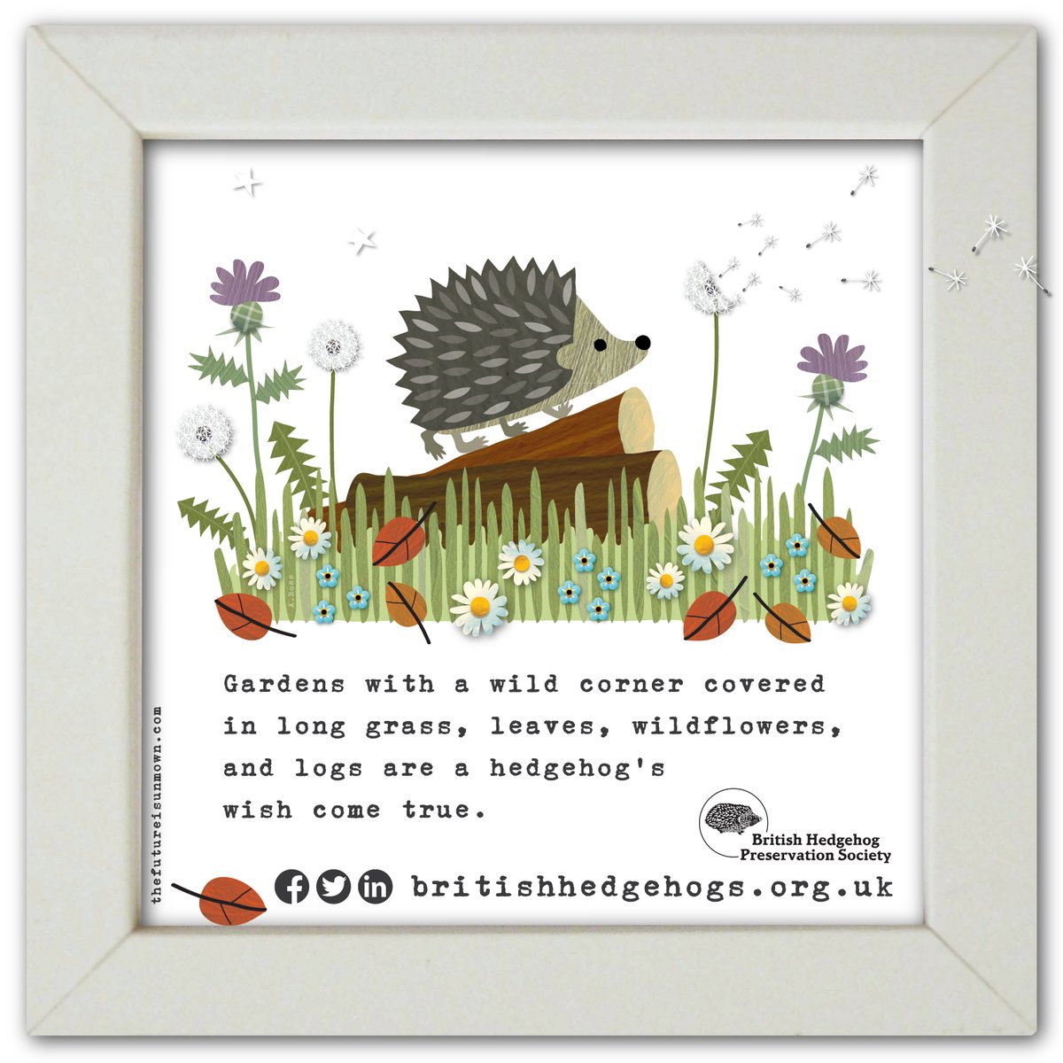Could you make your garden just a little bit wilder this #HedgehogWeek?
🌱 🦔 🪲 
Go wild and share this post!