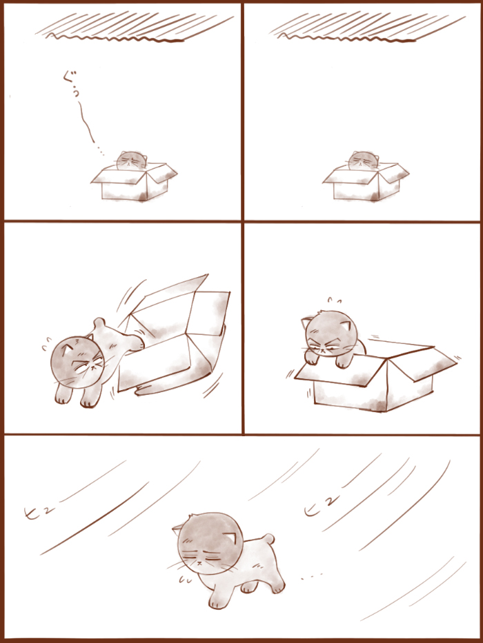 尽忠ねこのはじまり(1/2)