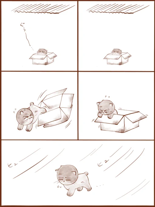 尽忠ねこのはじまり(1/2)