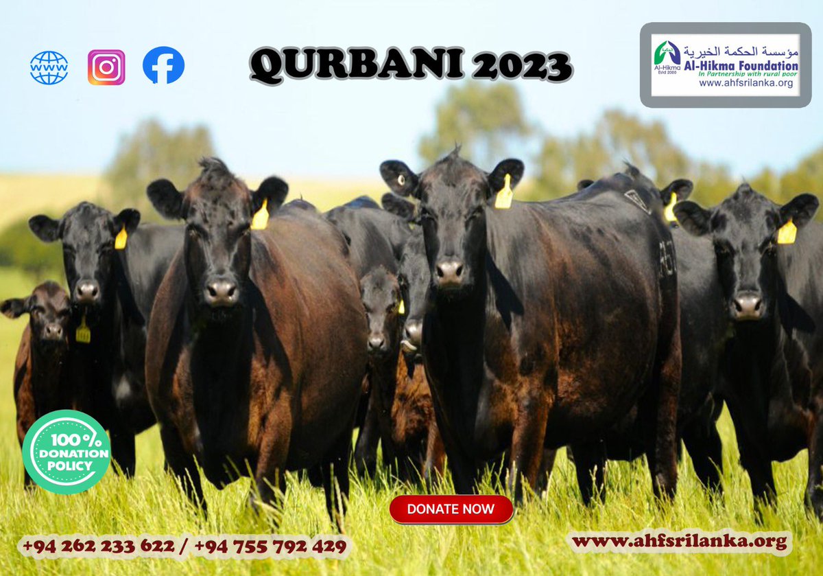 Qurbani Campaign - 2023

Donate your generosity here

#qurbani20k3
#supportneedy
#makeeveryonehappy

Join with us
ahfsrilanka.org