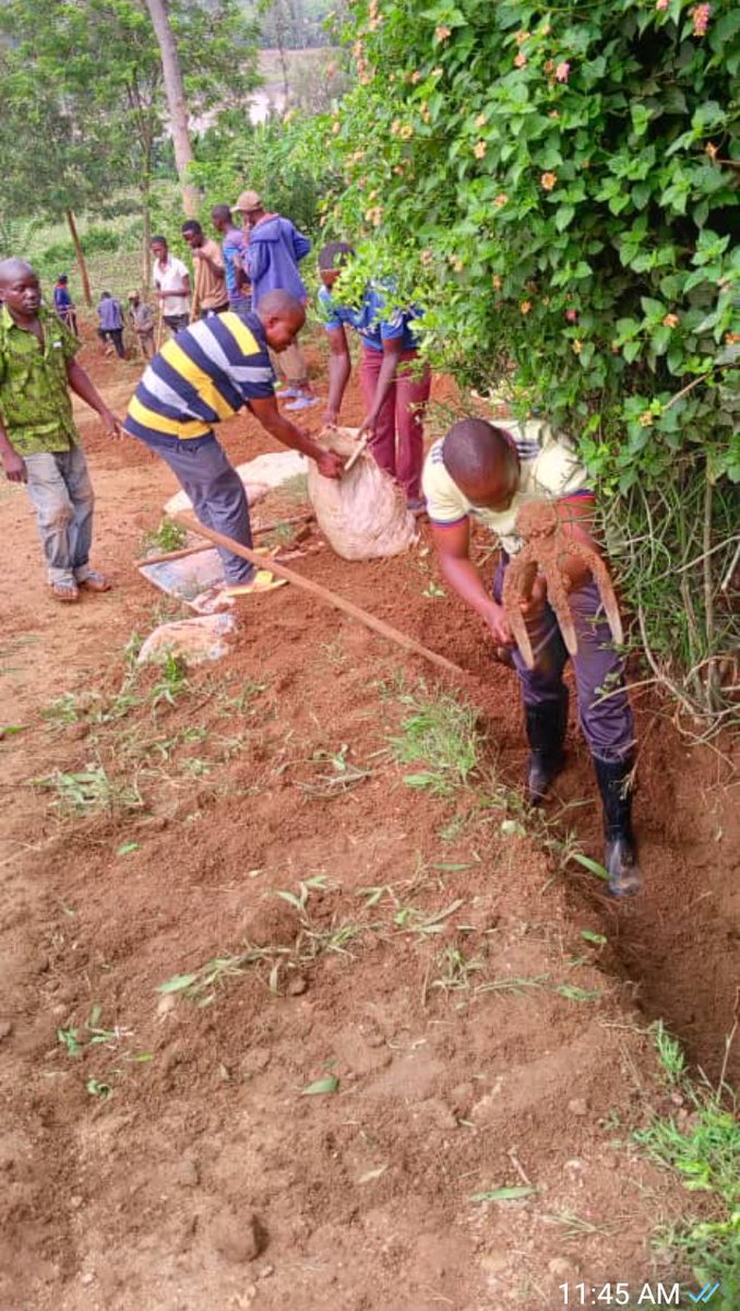 SectorJuru's tweet photo. Uyu munsi mu Murenge wacu @SectorJuru, twaramukiye mu #GITONDO CY'ISUKU NO KURENGERA UMWANA.
07h00-08h00, abaturage basukura imihanda baturiye nyuma, abayobozi baganiriza abaturage, babibutsa uburenganzira bw'abana, @BugeseraDistr, @RwandaEast https://t.co/s0x2GVztFZ