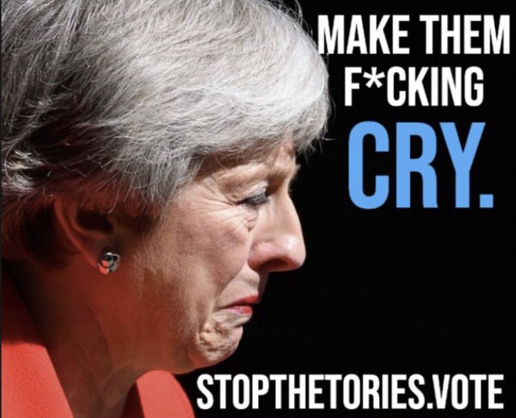 1. Go to stopthetories.vote 2. Put in your postcode 3. Find out who to tactically vote for. 4. Make a Tory fucking cry. 5. Sit back on election night and laugh your arse off. 6. Repeat for the General Election