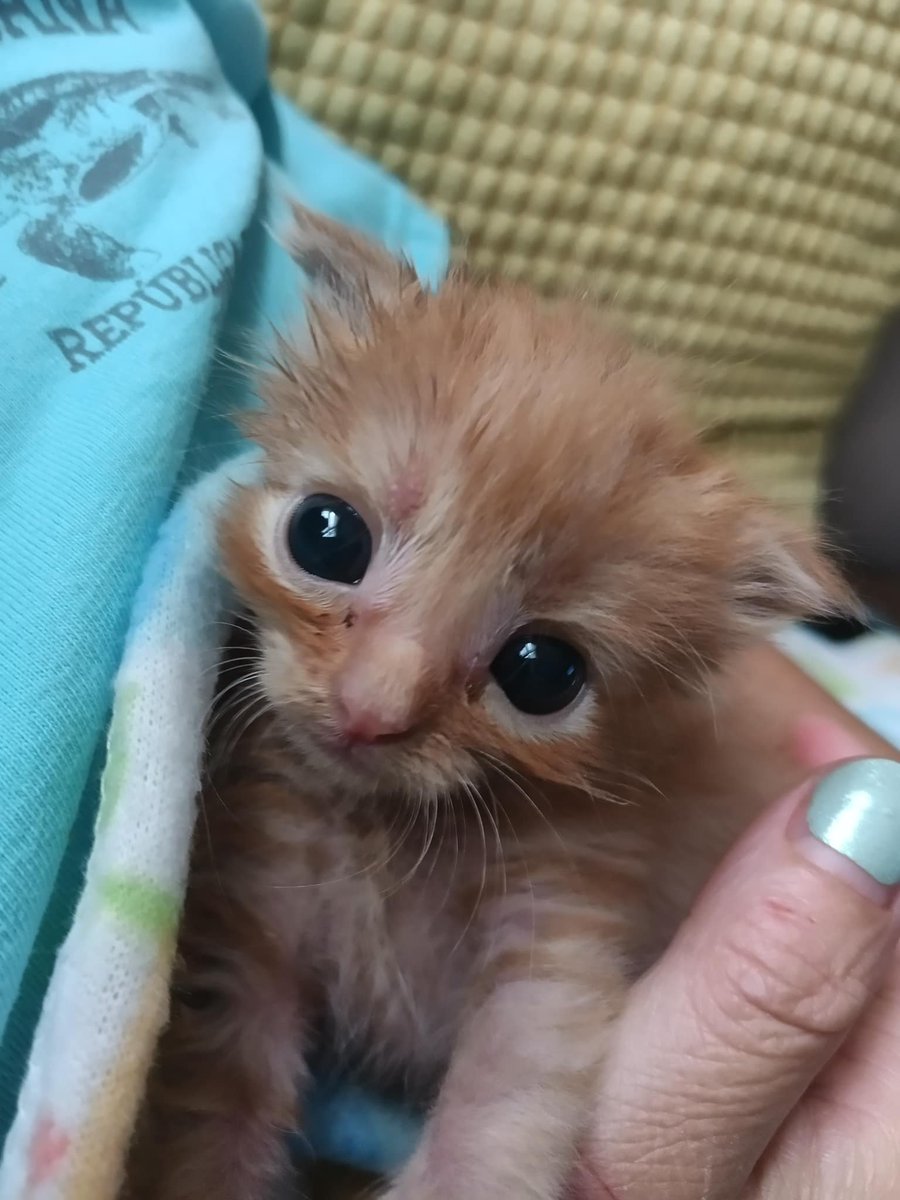 h um ,w pe j&amp; 
y