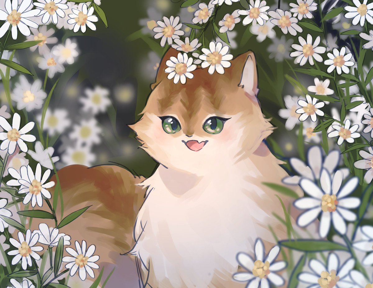 ʚ 𝐉𝐞𝐰𝐞𝐥 ɞ tweet media