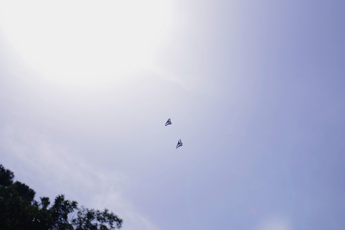 emiripapas's tweet photo. アオスジアゲはもう恋の季節。二人仲良く春霞の空に飛んで行きました。カメラはPENTAX KF、レンズは43mmLimitedで奇跡的にピントが来た一枚。
#PENTAX #pentax_kf https://t.co/JgOqClp5jO