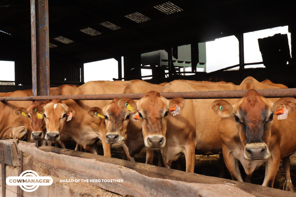 “The best system we have ever worked with” - Mark Robinson (Herd Manager in the UK) 👨‍🌾

Read his full story! 👉 bit.ly/3ZQysiD