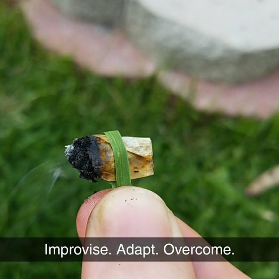 CannaWorld (@cannaworldsite) on Twitter photo 