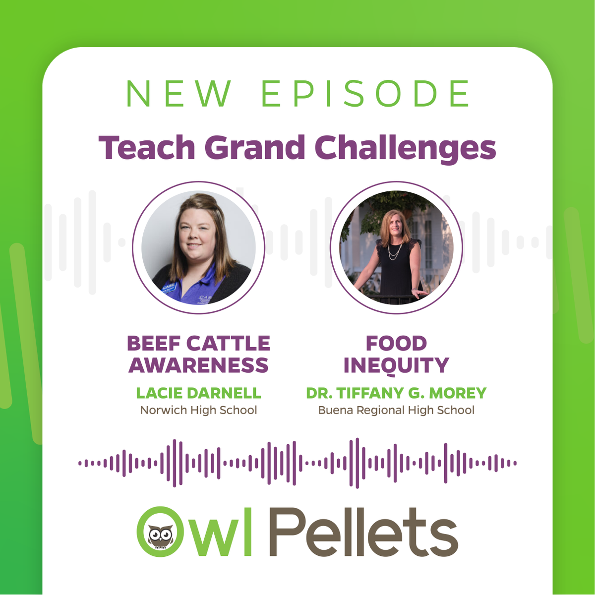 OwlPelletsForAg's tweet photo. 🌎 The first Teach Grand Challenges episode is live! Hear from Lacie and Tiffany as they discuss and share resources related to beef cattle awareness and food inequity.
- 
🎧 Episode here: https://t.co/8iMRSy58nN
📚 Projects and Resources here: https://t.co/vDke9856vn https://t.co/6J7ed0Xnf5