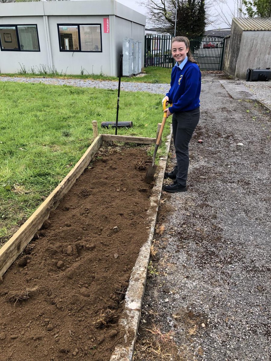 St Josephs Secondary School Rochfortbridge tweet media