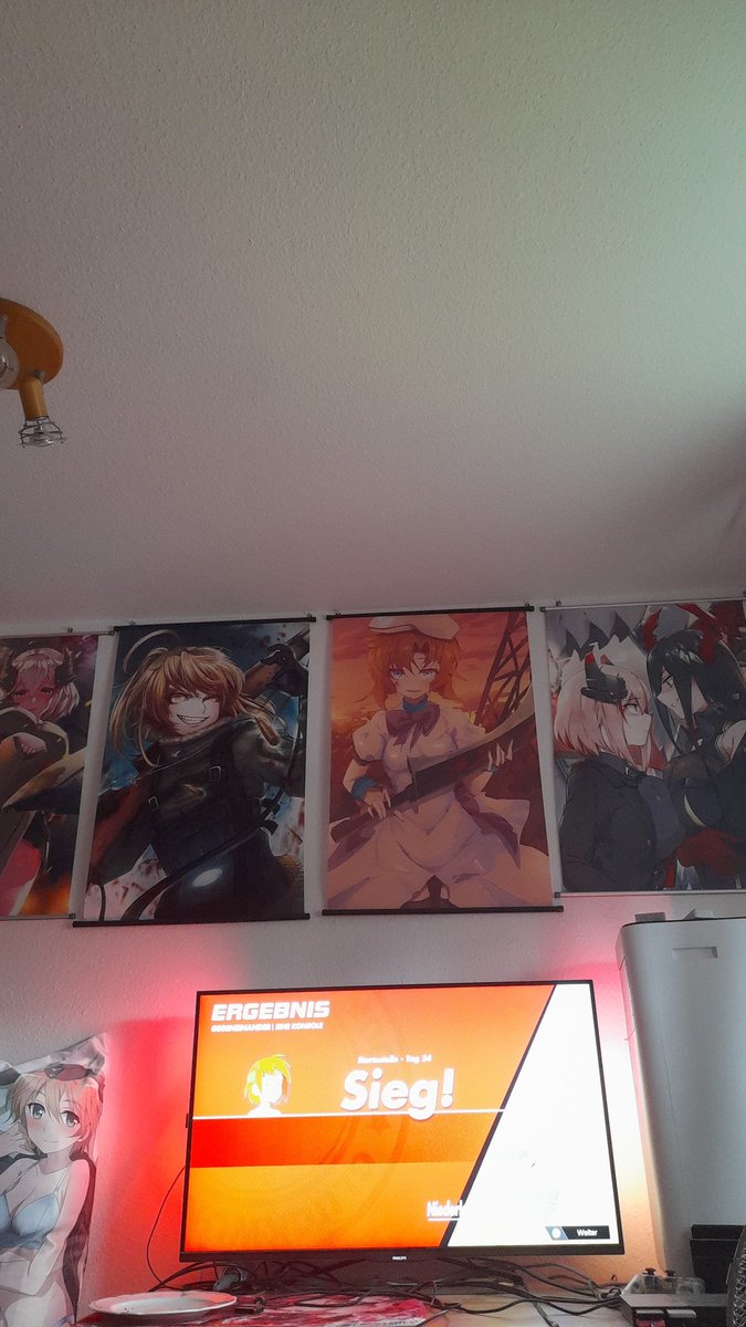 My Landlord lost an dispute and now all renters are allowed to hang stuff on their walls, I can finally put my wallscrolls up again!