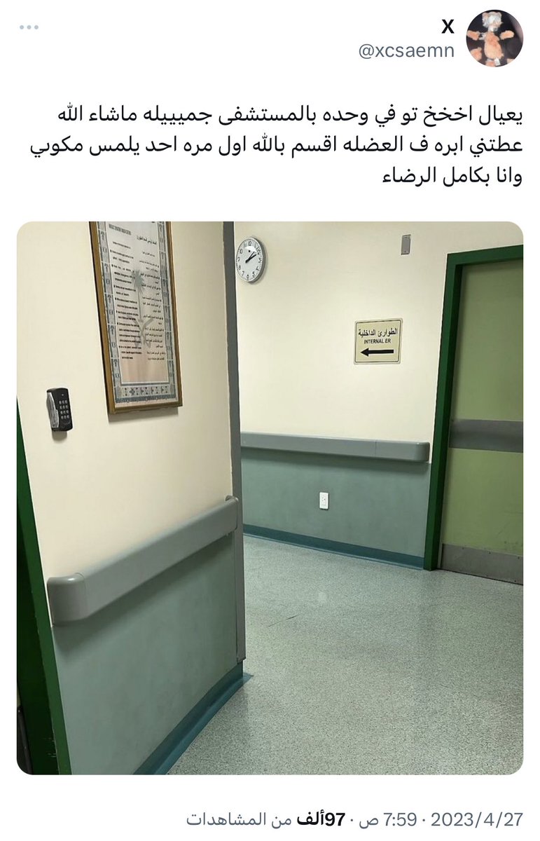 عندما تغرد الحمير tweet media