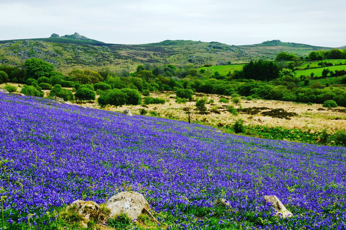 MAY OFFER AT THE WHITE HART ON DARTMOOR. TWO NIGHTS, DINNER &amp; BREAKFAST JUST £150 PP
Make the most of ALL the May bank holidays, come and relax in our 17th Century coaching inn set at the gateway to Dartmoor. TO BOOK: Call Reception on 01647 440500. Don’t forget! Dogs stay FREE