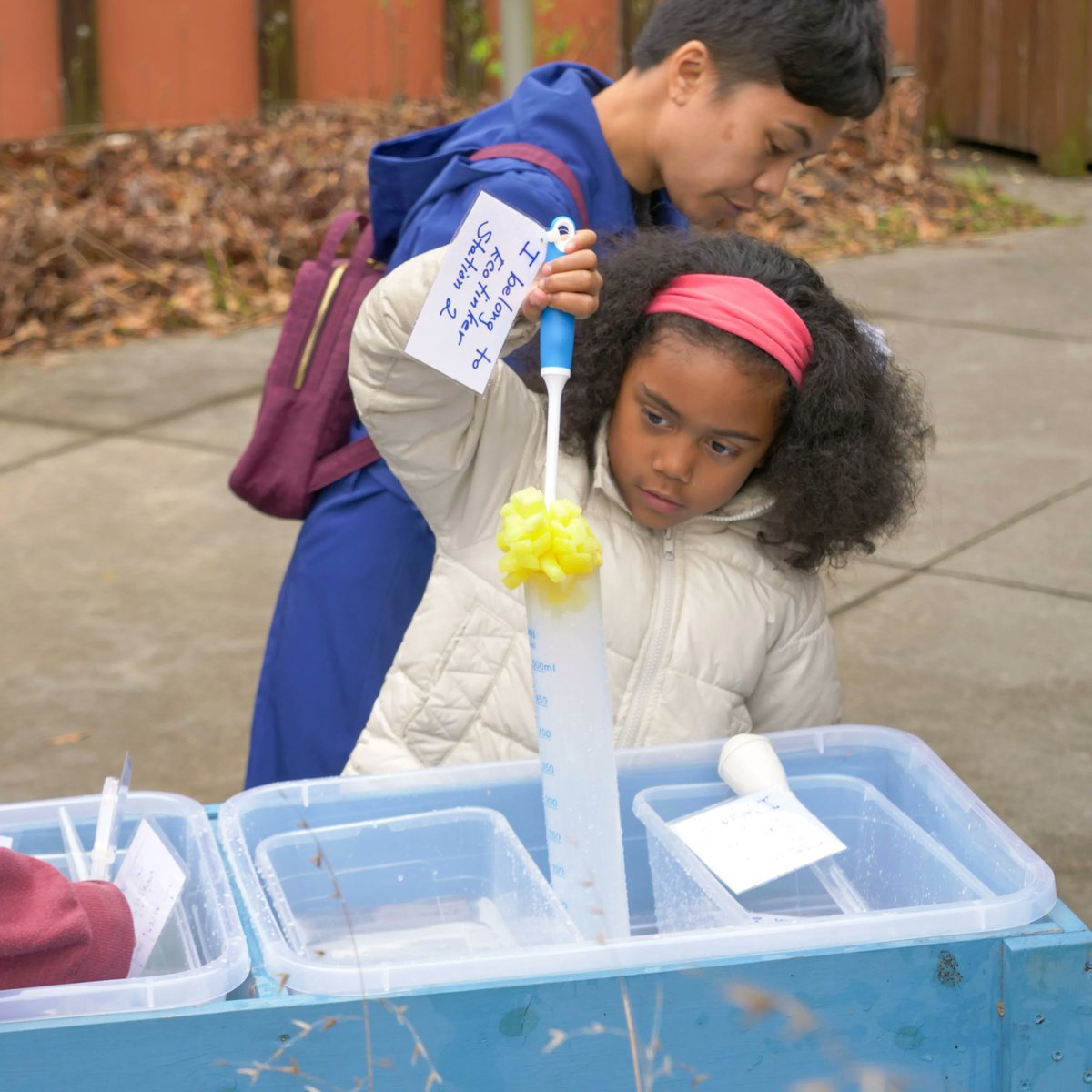 Practice your science skills as you use the Scientific Method to create a hypothesis and conduct an experiment to test it! At this station, you will observe, ask questions, hypothesize, test, analyze, and discuss.

#CNCNature #GetYourNatureOn #NatureBasedLearning #EcoTinker