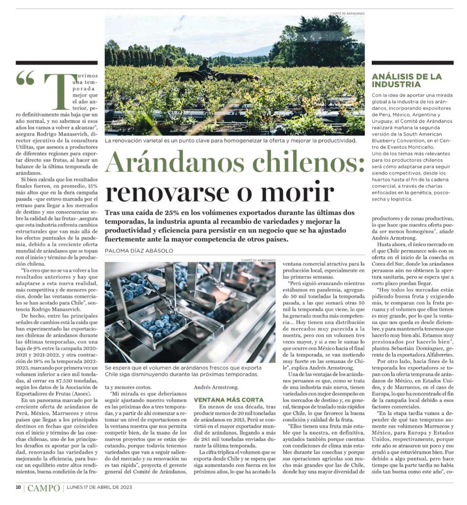 alfaberries's tweet photo. Reportaje sobre la evolución del mercado de los arándanos chilenos en Revista del Campo de El Mercurio 🗞️

Nuestro Gerente General, Sebastián Domínguez fue una de las fuentes que conversión con el medio para dar su visión respecto a la industria 🫐 https://t.co/gyANndHOKU