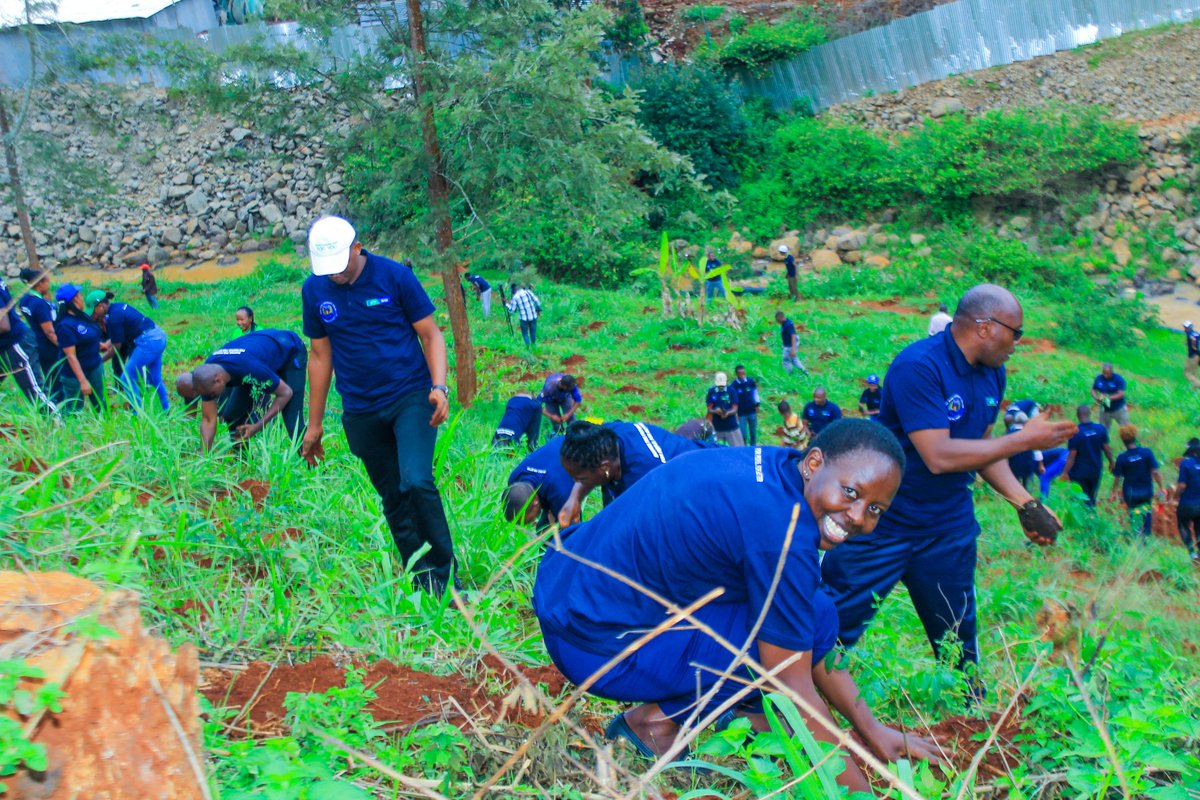 mamanginauni's tweet photo. Winding up the week with pictures from our tree planting exercise earlier this week. This was our 2nd annual tree planting & we intend on having them every year. Thank you to everyone who made this day possible(See the previous post).
#MNUC2023 #treeplanting2023 #environmentalday https://t.co/SLh0tukDgO