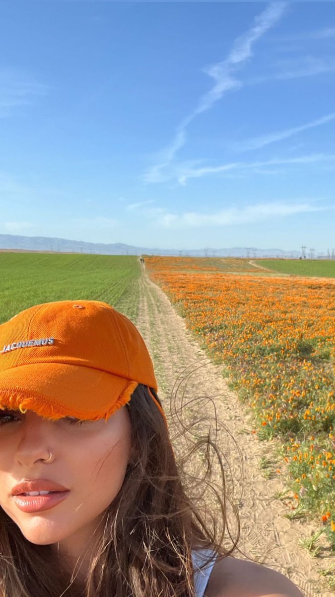 Little Mix Source tweet media