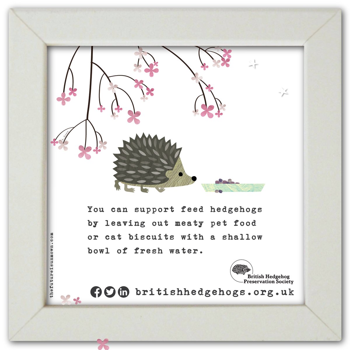 hedgehogsociety's tweet image. It's the final day of #HedgehogWeek! 🦔 🦔 

Here's a handy idea to share to help the hungry 'hogs living in your garden and green spaces!