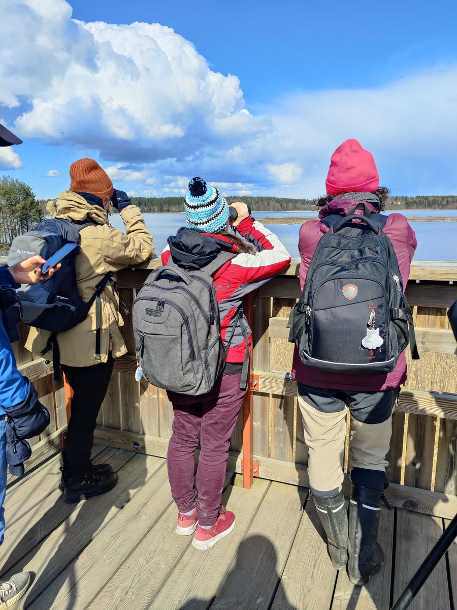 RautajokiLab tweet media