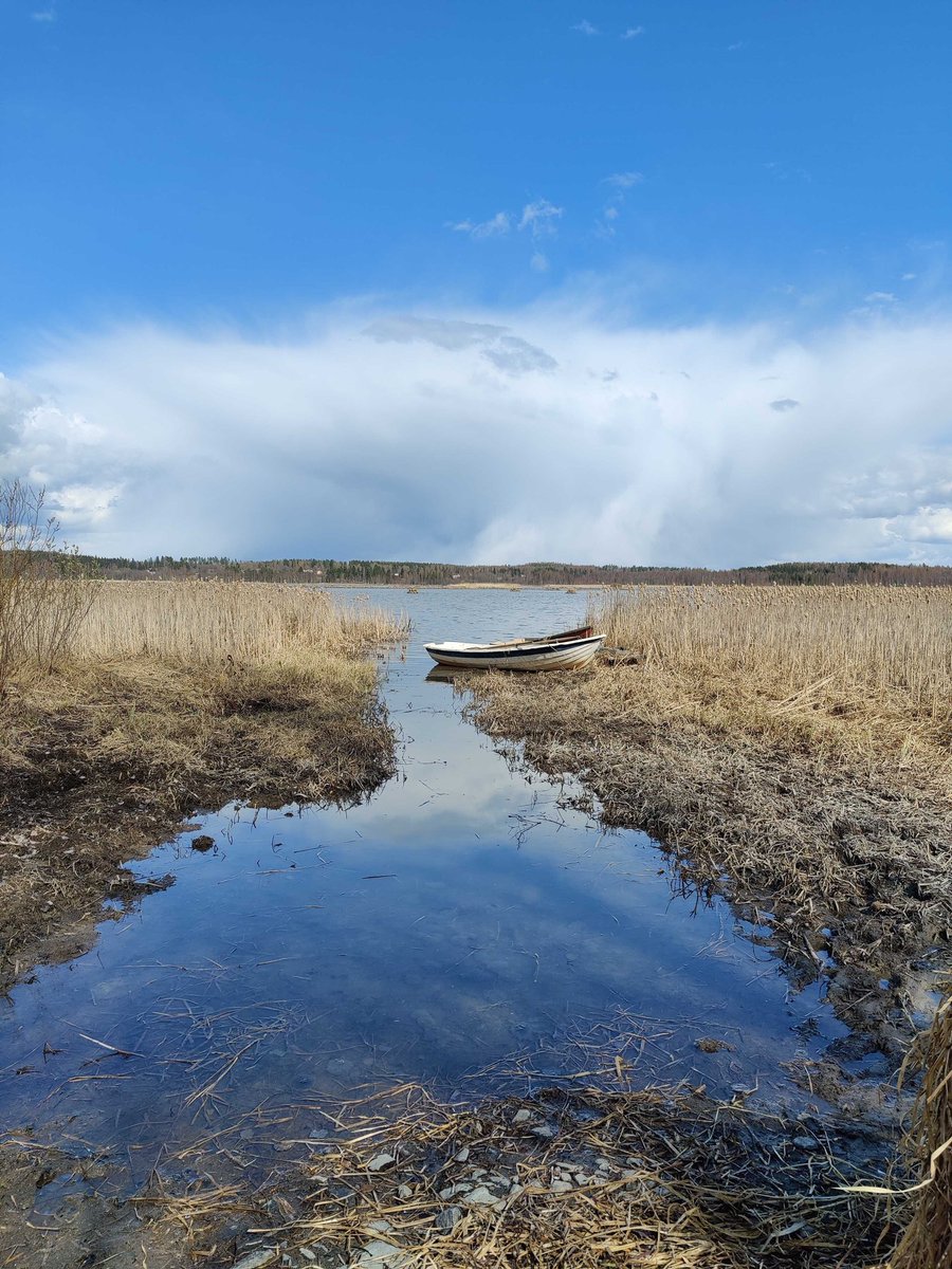 RautajokiLab tweet media