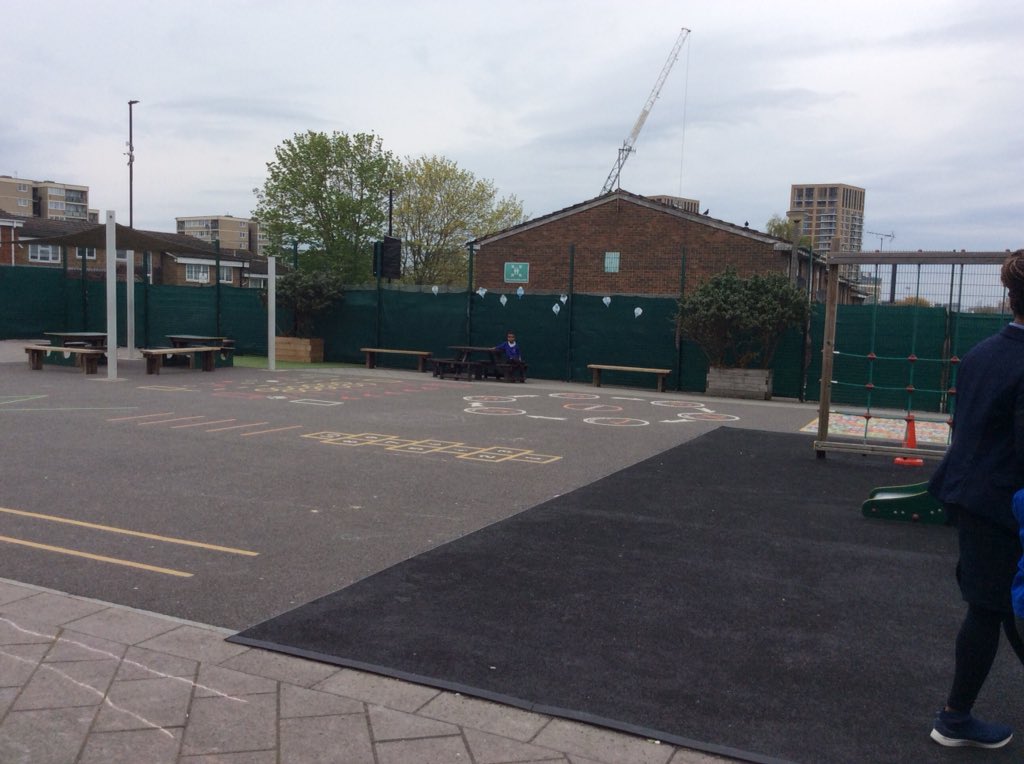 Foxfield Year 1 Hazel tweet media