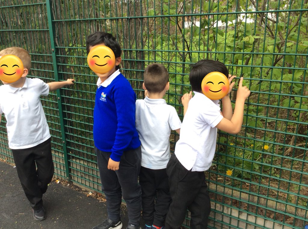 Foxfield Year 1 Hazel tweet media