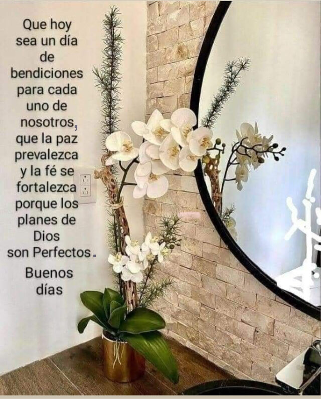 igsa sanchez tweet media